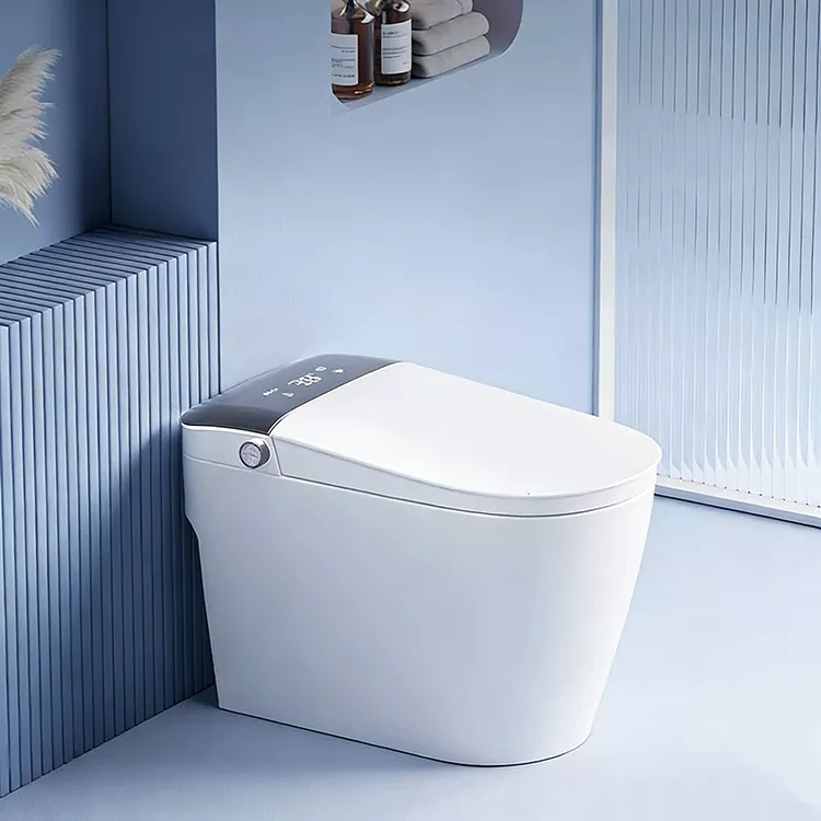 Sermaseya Dîjîtal Knob Smart Toilet